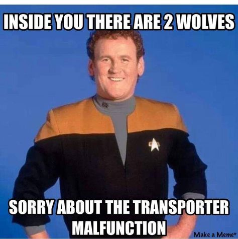 Star Trek Meme, Fandom Star Trek, Star Trek Cast, Star Trek Ds9, Star Trek Funny, Star Trek Art, Nerd Humor, Star Trek Tos, Across The Universe