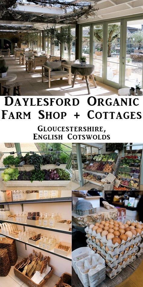 Farm To Table Grocery Store, Farm Shops Ideas, Daylesford Farm Shop, Farm To Table Store, Farm Shop Cafe, Farm Shop Interior, Farm Cafe Design, Farm Shop Buildings, Farm Shop Ideas