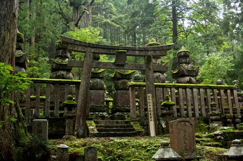 #koyasan #cemetery #temple #peaceful #shirakawago #japan #Japanese #rural Ancient Japan Aesthetic, Japanese Rural Aesthetic, Japanese Cemetery, Japanese Monastery, Rural Japan Aesthetic, Shirakawago Japan, Japanese Abandoned House, Old Japanese Temple, Rural Japan