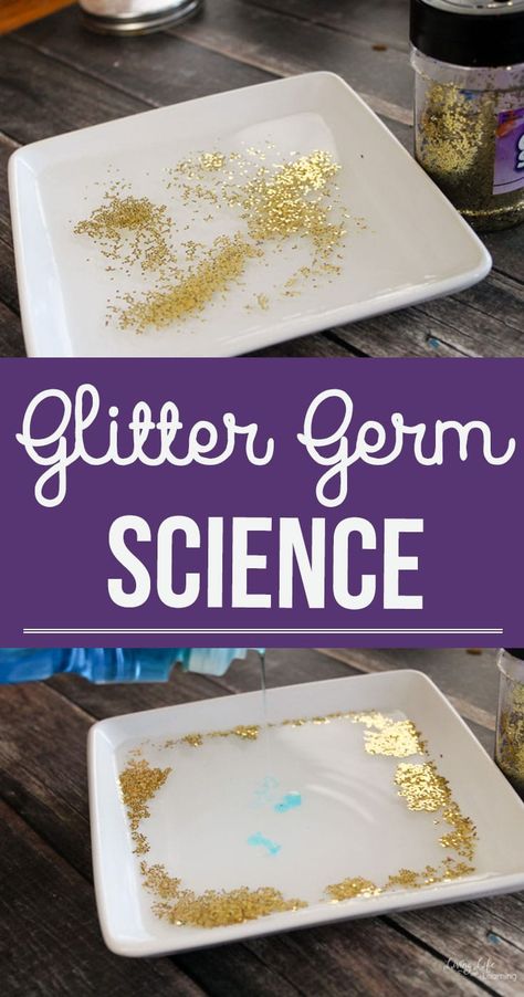 Show your kids how using soap works to get rid of germs in this glitter germ science experiment. You can also use it to show how thorough they need to be while washing their hands. Germs are everywhere, show your kids how important soap is to get rid of them with this hands-on germ activity.  #science #germs #scienceexperiment Germ Experiment, Germs Activities, Pre-k Science, Science For Toddlers, Experiment For Kids, Science Week, Preschool Science Activities, Science Experiments For Preschoolers, Kid Experiments