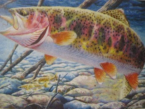 Trout Painting, Trout Art, Cutthroat Trout, Fish Artwork, Fishing Photos, Brook Trout, Carpe Koi, Fishing Pictures, Brown Trout