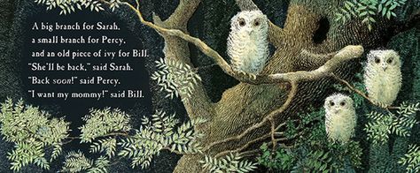 Owl Babies by Martin Waddell Owl Babies Book, Pinecone Owls, Owl Babies, Bird Book, Owl Pictures, Toddler Books, Baby Owls, Nature Crafts, Woodland Creatures