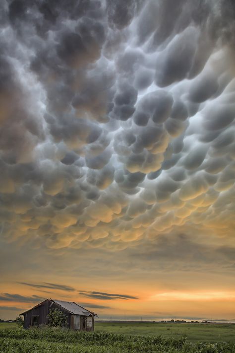 These 4 Photos Beat Out 40,000 to Win The Weather Channel’s Photo Contest Mammatus Clouds, Wild Weather, Clouds Photography, The Weather Channel, Cloudy Sky, Storm Clouds, Old Barn, Sky And Clouds, Natural Phenomena