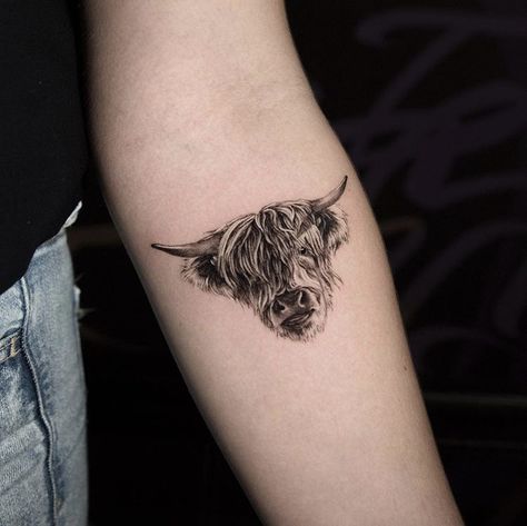 Highland Cow Tattoo Small Simple, Highland Bull Tattoo, Small Highland Cow Tattoo, Scottish Cow Tattoo, Highland Cow Tattoos For Women, Highland Cow Tattoo Ideas, Scottish Highland Cow Tattoo, Highlander Cow Tattoo, Fluffy Cow Tattoo