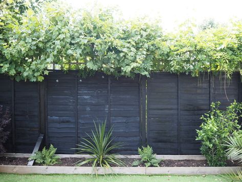 Black Fence Paint, Black Garden Fence, Ronseal Garden Paint, Garden Fence Paint, Cuprinol Garden Shades, Black Fence, Paint It Black, Fence Paint, Black Garden