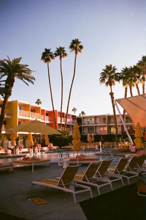 Palm Springs Asethic, California Hotel Aesthetic, Vintage Hotel Aesthetic, 1950s Palm Springs, 70s Palm Springs, Palm Springs Motel, 1960s Palm Springs, Saguaro Hotel Palm Springs, Palm Springs Bach