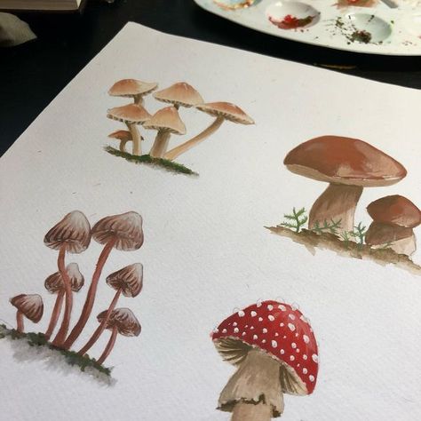 Gouache Mushrooms, Gouache Mushroom, Fairycore Painting, Gouache Practice, Mushrooms Cottagecore, Watercolour Ideas, Gouache Art, Gouache Painting, Fairy Core