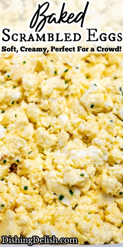 Bulk Scrambled Eggs, Scrambled Eggs For A Crowd Brunches, Large Batch Scrambled Eggs, Oven Baked Scrambled Eggs For A Crowd, Oven Scrambled Eggs For A Crowd, Baked Scrambled Eggs Oven, Eggs For A Group, Crockpot Scrambled Eggs, Scrambled Eggs For A Crowd