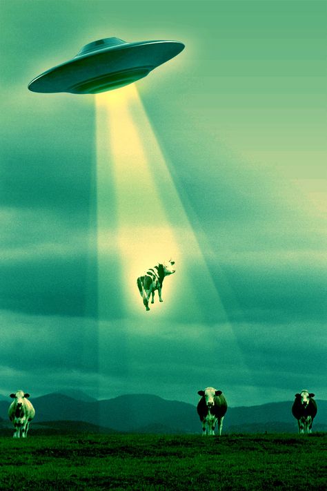 Cow Abduction by decamillo.deviantart.com Tropic Of Capricorn, Ufo Art, Art Alien, Arte Alien, Alien Abduction, Aliens And Ufos, Alien Art, Psychobilly, Arte Inspo