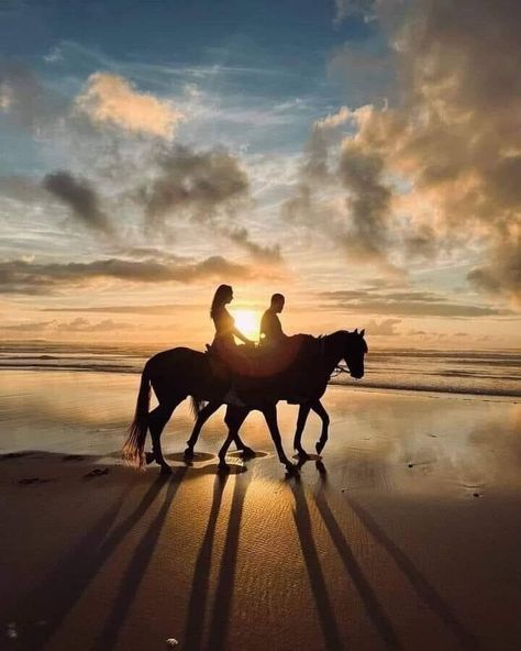 Best Photo Ideas, Horse Wedding Photos, Beach Wedding Pics, Beach Horseback Riding, Horse Couple, Horse Photography Poses, Couple Photo Ideas, Couple Beach Pictures, Loving Couples