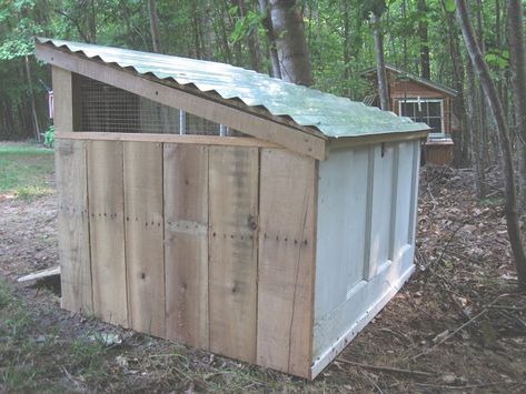 The Project Lady - Duck House Project Build Duck Houses Diy, Duck Housing Ideas, Easy Diy Duck Coop, Diy Duck House, Duck Items, Duck Housing, Duck House Diy, Duck House Plans, Chicken Pecking