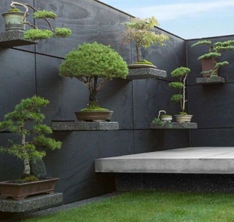 Hottest Photo Japanese Garden fence Concepts Japanese gardens are traditional gardens that creates miniature idealized landscapes, often in a hig Taman Air, نباتات منزلية, Japanese Garden Design, Walled Garden, Have Inspiration, Bonsai Plants, Bonsai Trees, Bonsai Garden, Roof Garden