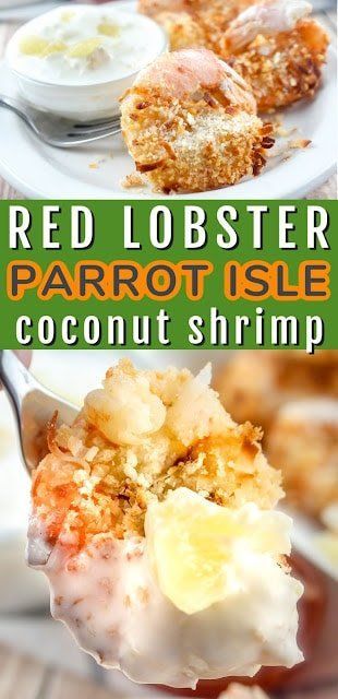 Pina Colada Shrimp Sauce, Red Lobster Pina Colada Dipping Sauce, Pina Colada Dipping Sauce For Shrimp, Red Lobster Pina Colada Sauce, Dragon Shrimp Red Lobster Recipe, Red Lobster Coconut Shrimp Sauce, Red Lobster Coconut Shrimp, Pina Colada Sauce, Coconut Shrimp Dipping Sauce