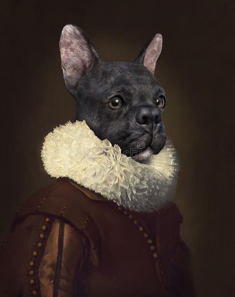 Royal Dog, Bulldog Art Print, French Bulldog Art, Moody Art, Funny Paintings, Animal Poster, Bulldog Art, Animal Portraits, Print Portrait