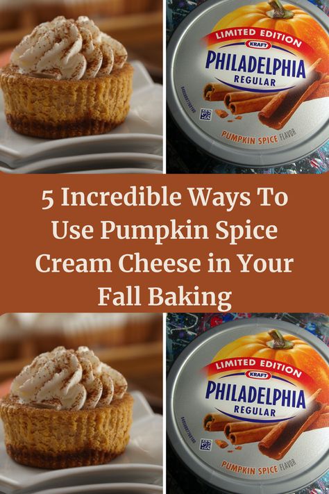 5 Incredible Ways To Use Pumpkin Spice Cream Cheese in Your Fall Baking Pumpkin Spice Cream Cheese, Pumpkin Spice Cream, Recipes Tutorials, Cream Cheese Pie, Pumpkin Cream Cheese, Cheese Pie, Pumpkin Cream Cheeses, Kitchen Recipe, Pumpkin Flavor