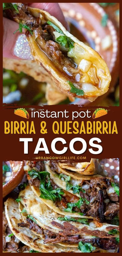 A must-try main meal! It's an easy dinner recipe for authentic Quesabirria. Made with Mexican beef stew, these Instant Pot birria tacos are juicy and delicious. Plus, the cooking session is shorter! Easy Birria Recipe, Instant Pot Birria Tacos, Instant Pot Birria, Cowgirl Kitchen, Quesabirria Tacos, Mexican Beef Stew, Beef Birria Recipe, Beef Birria, Easy Taco Recipes