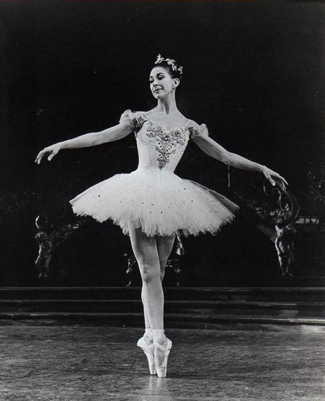 Famous Ballet Dancers, Maria Tallchief, Famous Ballets, Ballet Images, Margot Fonteyn, Ballet Pictures, Rudolf Nureyev, Vintage Ballet, Prima Ballerina