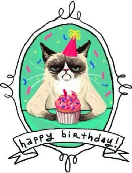 Happy Birthday from Grumpy Cat! Grumpy Cat Birthday, Happy Birthday Cat, Funny Happy Birthday Wishes, Happy Birthday Quotes Funny, Happy Birthday Wishes Images, Birthday Wishes And Images, Happy Birthday Funny, Happy Birthday Pictures, Birthday Meme