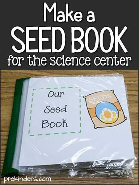 Science Center Ideas, Seeds Preschool, Science Center Preschool, Plant Lessons, Pre-k Science, Garden Unit, Preschool Garden, Plant Activities, Plant Study