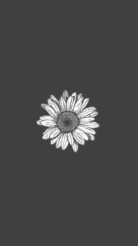 Insta Logo, Wallpaper Combo, Grey Theme, Christmas Wallpaper Free, Cute Black Wallpaper, Pretty Phone Wallpaper, Drawing Wallpaper, Simple Phone Wallpapers, Black And White Flowers