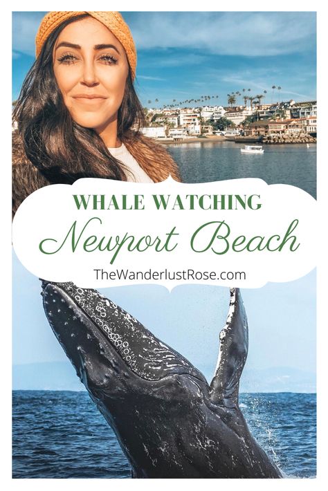 Whale Watching Outfit Summer, What To Wear Whale Watching Outfit, Whale Watching Outfit, Maine In The Summer, America California, Vacations In The Us, Blue Whales, National Park Road Trip, Solo Female Travel