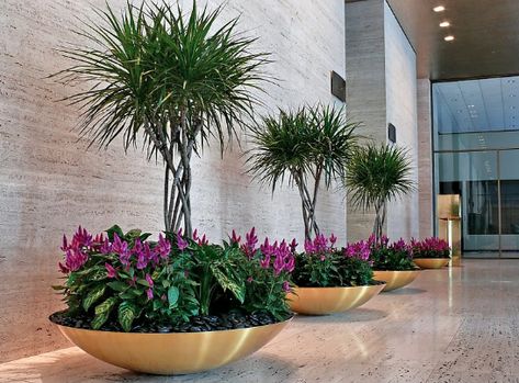 Plant Interior, Interior Design Plants, Tropical Garden Design, Front Garden Landscape, نباتات منزلية, Potted Plants Outdoor, Flower Pots Outdoor, Outdoor Gardens Design, Outdoor Flowers