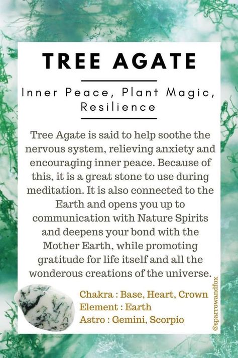 Tree Agate Properties, Tree Agate Crystal Meaning, Tree Agate Meaning, Tree Agate Crystal, Gratitude For Life, Crystal Book, Crystals Healing Grids, Best Healing Crystals, Mother Gaia