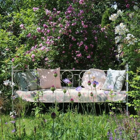 Claudia de Yong on Instagram: "Daybed - in the unprecedented heat we are experiencing, I think this idea of a bed outdoors could catch on. Not only a little romantic but would be much cooler than under the duvet indoors. Beautiful Image @anitaistimgarten #homeandgarden #gardendreams #daybed #outdoorfurniture #gardeninspo #trädgård #garten #jardin #houseandgarden #cottagegarden #gardenideas #prettygarden #countrygarden #ramblingrose #calmcollected #whereyouwillfindme #cottagestyle" Daybed Outdoor, Garden Diary, Pink Garden, Country Gardening, Daybed, Cottage Style, Cottage Garden, Outdoor Sofa, Beautiful Images