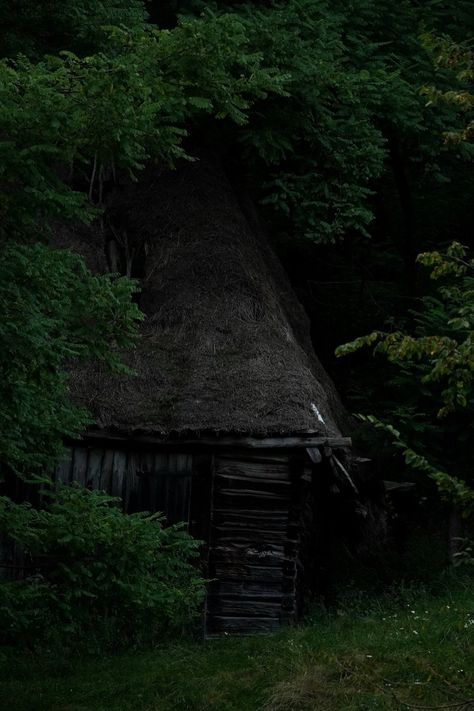 Old cabin in the woods Old Shack In The Woods, Old Wooden Cabin, Cabins In The Woods Interior, Old Log Cabin, Camping Ground, Old Cabin, Wooden Hut, Forest Cabin, Wooden Cabins