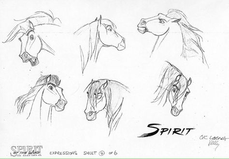 Drawing Horses Spirit Drawing, James Baxter, Spirit Stallion Of The Cimarron, Traditional Animation, Spirit And Rain, Spirit The Horse, Spirit Stallion, Spirit Horse, Horse Sketch