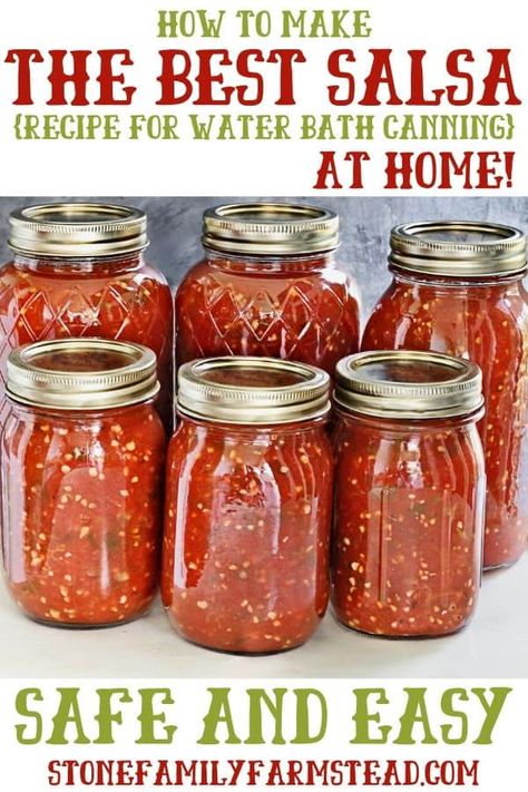 The Best Salsa Recipe, Salsa Recipe For Canning, Canning Homemade Salsa, Canned Salsa Recipes, Salsa Canning Recipes, Best Salsa Recipe, Canning Tomatoes Recipes, Best Salsa, Salsa Tomatillo