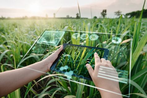 To help feed the world better, farmers turn to AI | Fortune Precision Agriculture, Tissue Engineering, Regenerative Medicine, Complex Systems, Improve Productivity, Emerging Technology, Future Technology, Biotechnology, Computer Technology