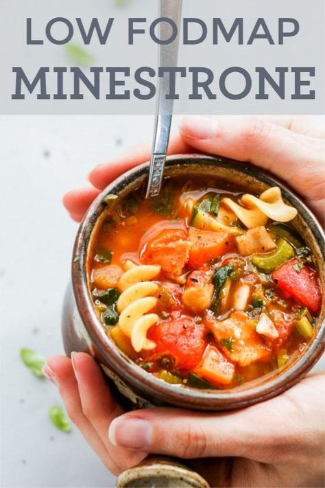 Low Fodmap Recipes Vegetarian, Fodmap Soups, Making Noodles, Fodmap Meals, Sopa Minestrone, Low Fodmap Diet Plan, Fodmap Diet Plan, Fodmap Lunch, Italian Dinners