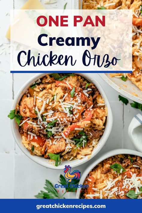 This Creamy Cajun Chicken Orzo is one of my favorite one-pot meals. It includes tender chunks of chicken (seasoned with my own cajun seasoning blend), golden brown Spanish chorizo sausage, and sautéed vegetables tossed in a creamy orzo sauce. Learn how to make chicken and chorizo orzo in 30 minutes with this easy recipe. #recipes #chicken #dinner #onepotmeals #chickenrecipes #easyrecipes Chorizo Orzo, Cajun Chicken Orzo, Creamy Cajun Chicken, Chicken And Chorizo, Spanish Chorizo, Creamy Orzo, Great Chicken Recipes, Side Dishes For Chicken, Chicken Orzo