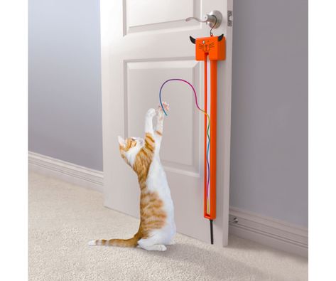 The Award Winning Cat String Toy provides non-stop amusement for cats and their owners. It hangs over a doorknob & constantly casts & reels in a colorful string . 📲Follow Junglepetsupplies & Turn ON Post Notifications For Amazing Daily Content! . #catstringtoy #cattoys #toysforpets #pettoys #petaccessories #entertainyourpets #cattoyseverywhere #amuseyourpets #pets #cats #junglepetsupplies #petsupplies #gamesforpets Tech Gadgets Technology, Smartphone Gadget, Hammacher Schlemmer, Instructional Technology, Excellence Award, High Tech Gadgets, New Cat, British Tv, Gadget Gifts