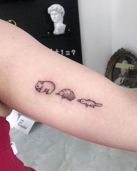 TOJI INK TATTOO東极刺青 on Instagram: “Did these cute wombat, echidnas and platypus for Kelly, thank you for coming By @feynman_tattoo . . #aussieanimals #wombat #echidna…” Echidna Tattoo, Sea Otter Tattoo, Girlfriend Tattoos, Cute Wombat, Koala Tattoo, Crocodile Tattoo, Australia Tattoo, Australian Tattoo, Animals Tattoo