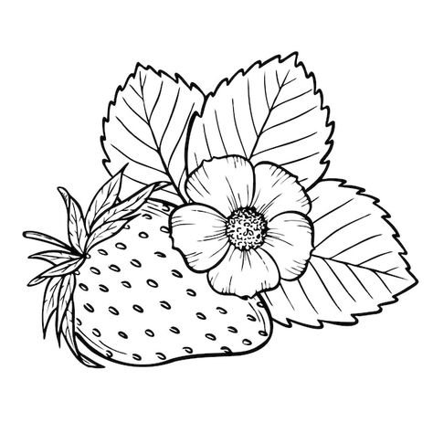 Strawberry Line Drawing, Strawberry Plant Drawing, Strawberry Outline, Strawberry Line Art, Embroidering Clothes, Fruit Line Drawing, Berry Tattoo, Drawing Strawberry, Strawberry Tattoos