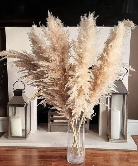 Pampas grass beige natural by loveproducts Ltd Perfect pampas for wooden floors and a country look . #pampasgrass #largepampasgrass #bohohome #beigepampas #homedecor #floralcenterpiece #buypampasgrass #pampassgrass #loveproductsltd # tallpampasgrass #pampasgrassdecor #driedpampasgrass Pampas Arrangement, Grass Decor, Pampas Grass Decor, Grass Wedding, Dried Bouquet, Cream Aesthetic, Boho Interiors, Dried Flower Arrangements, Boho Interior