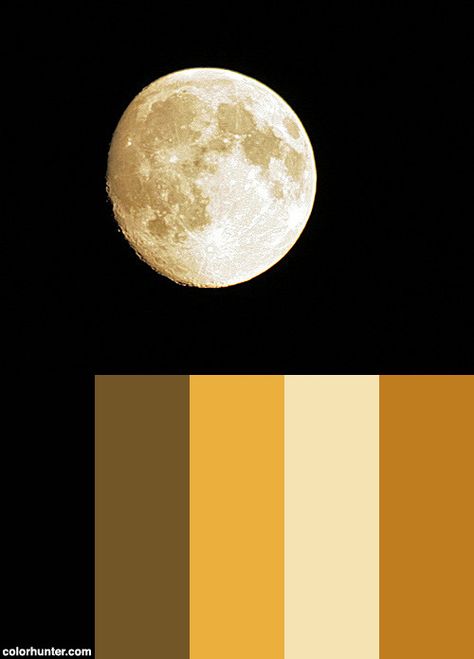 Best+Moon+Photo+Color+Scheme Full Moon Color Palette, Moon Color Pallete, Sun And Moon Color Palette, Moonlight Color Palette, Moon Colour Palette, Star Color Palette, Moon Color Palette, Photo Color Palette, Ten Hundred