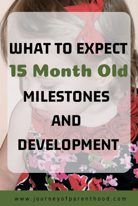 Development Milestones and Monthly Milestones for a Toddler - What to Expect at 15 Months Old.  #toddler #toddlermom #development #milestones #whattoexpect #15monthsold #secondyear 16 Month Milestones, 15 Month Old Milestones, 15 Month Milestones, 2-3 Month Old Milestones, 12 Month Old Development Milestones, Toddler Development Milestones, Three Year Old Developmental Milestones, Milestones 12-24 Months, Development Milestones