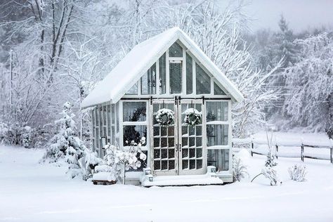 🤍❄️🤍 | Instagram Greenhouse In Winter, Greenhouse Cottage, House In Snow, Cabin Garden, Winter Greenhouse, Backyard Cottage, Craft Shed, Greenhouse Shed, Beach House Exterior