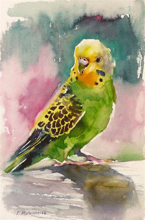 Katya Minkina, Parrots Art, Bird Artwork, 수채화 그림, Watercolor Inspiration, Bird Drawings, Watercolor Bird, Daily Paintworks, Watercolor Animals