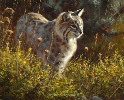 Lynx Painting, Animal Infographic, Forest Wildlife, Serval Cats, North American Wildlife, Wildlife Artwork, Forest Adventure, Wildlife Paintings, Animals Artwork