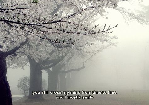 You still cross my mind from time to time and I mostly smile. #Love #Memories #picturequotes  View more #quotes on http://quotes-lover.com Sakura Tree, Nothing But Flowers, The Fog, Cherry Blossom Tree, Blossom Trees, Pretty Places, Cherry Blossoms, Pretty Flowers, Beautiful Views