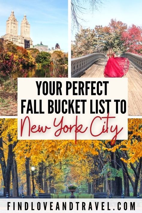 Fall Itinerary, New York City Fall, Nyc Autumn, Fall In Nyc, Nyc Bucket List, Travel Nyc, Nyc Photos, Things To Do In Nyc, New York City Vacation