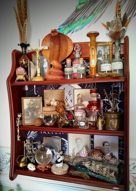 Curiosity cabinet shelves filled with unusual treasures. Very Gothic and Witchy! Poison Potion, Cabinet Shelves, Cabinet Of Curiosity, Curiosity Cabinet, Gothic Witch, Potion Bottles, Dark Home Decor, Dark Home, Witch Magic