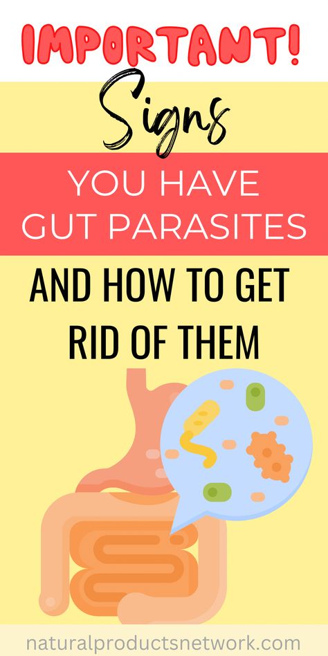 While we know it's common for pets to have parasites, many don't realize parasites are common in humans, too. In fact, experts estimate 80% of people have gut parasites. It's a myth that you have to travel to exotic places to get parasites. The reality is that you can get them close to home, even if you are careful and Diy Parasite Cleanse Recipe, Symptoms Of Parasites In Humans, Amish Parasite Cleanse, Parasites Symptoms, Intestinal Parasites, Parasite Cleanse, Bye Felicia, Natural Colon Cleanse, Egg Diet