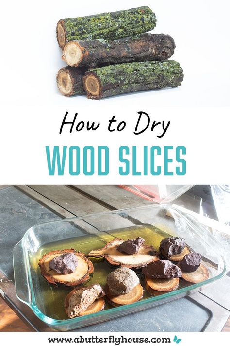 Wood slices are the perfect thing for holiday decor! Learn how to cut and dry them out with this quick and easy method! Tree Branch Slices Crafts, Preserve Wood Slices, How To Make Wood Slices, How To Treat Wood Slices, Preserving Wood Slices Diy, How To Dry Wood Slices In The Oven, Drying Wood Slices, Log Wood Ideas, Diy Log Crafts