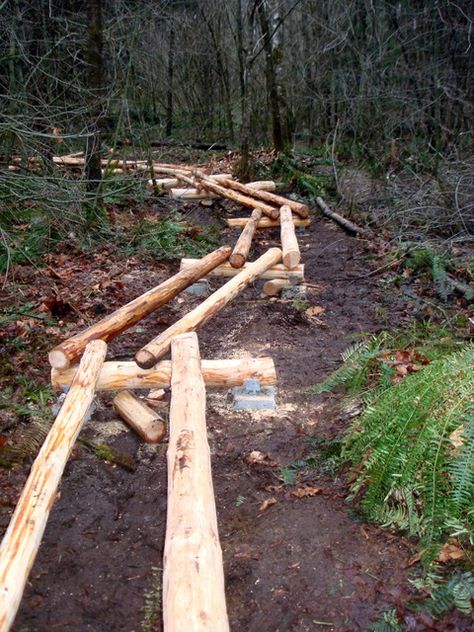 Backyard Bridges, Outdoor Bridges, Building Bridges, Bog Garden, Bridge Building, Bike Reviews, Homestead Survival, Nature Trail, Backyard Projects