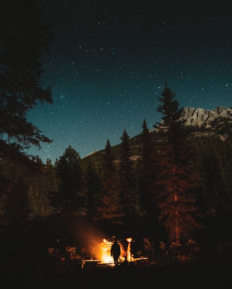 Campfire Under The Stars, Horseback Camping, Log Cabin Rentals, Future Board, Quiet Beauty, Widget Design, Lodge Cabin, Dappled Light, On Horseback